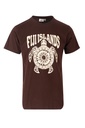 Fiji Island Mens Printed Tees - Vonu